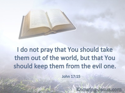 I do not pray that You should take them out of the world, but that You should keep them from the evil one.